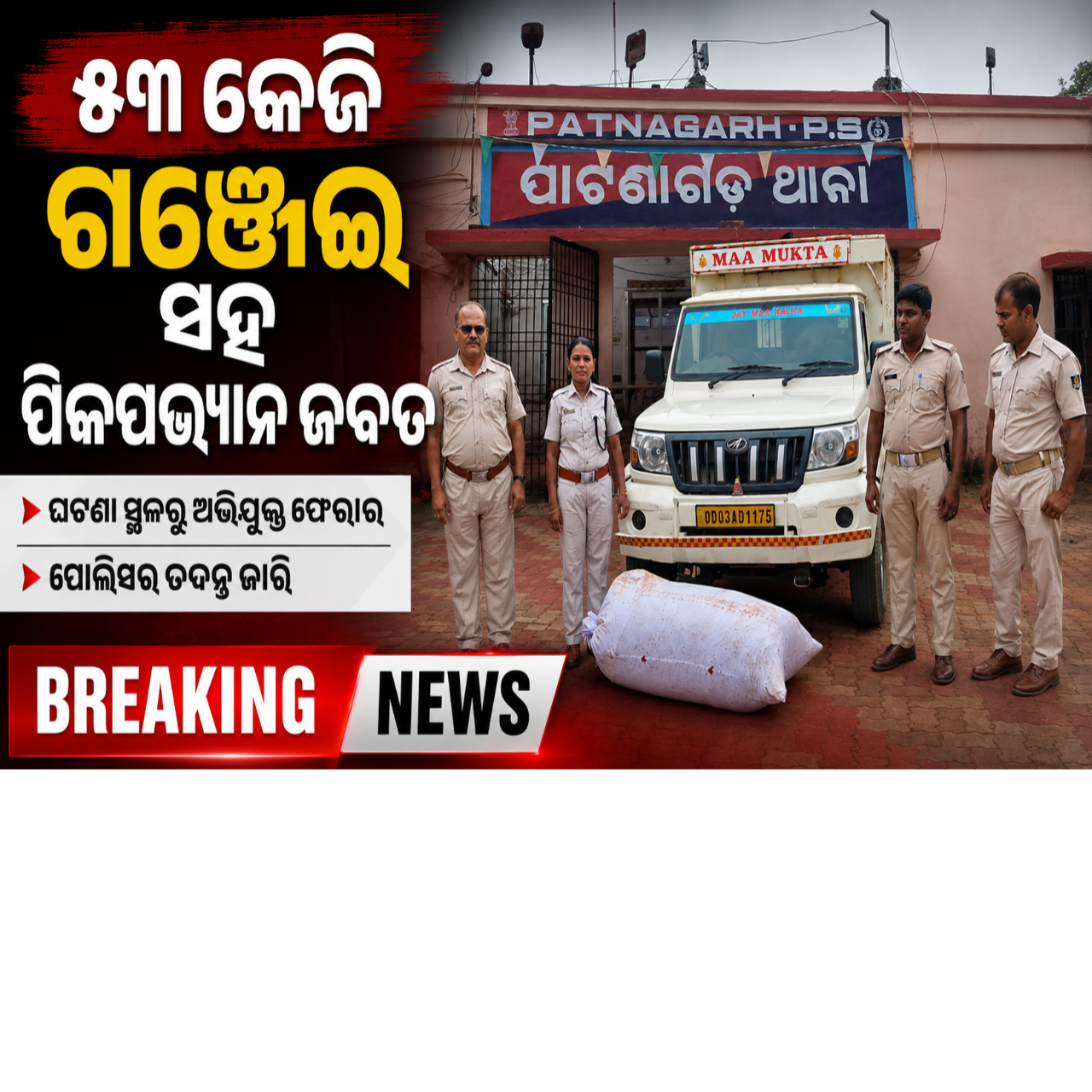 ୫୩ କେଜି ଗଞ୍ଜେଇ ସହ ପିକପଭ୍ୟାନ ଜବତ