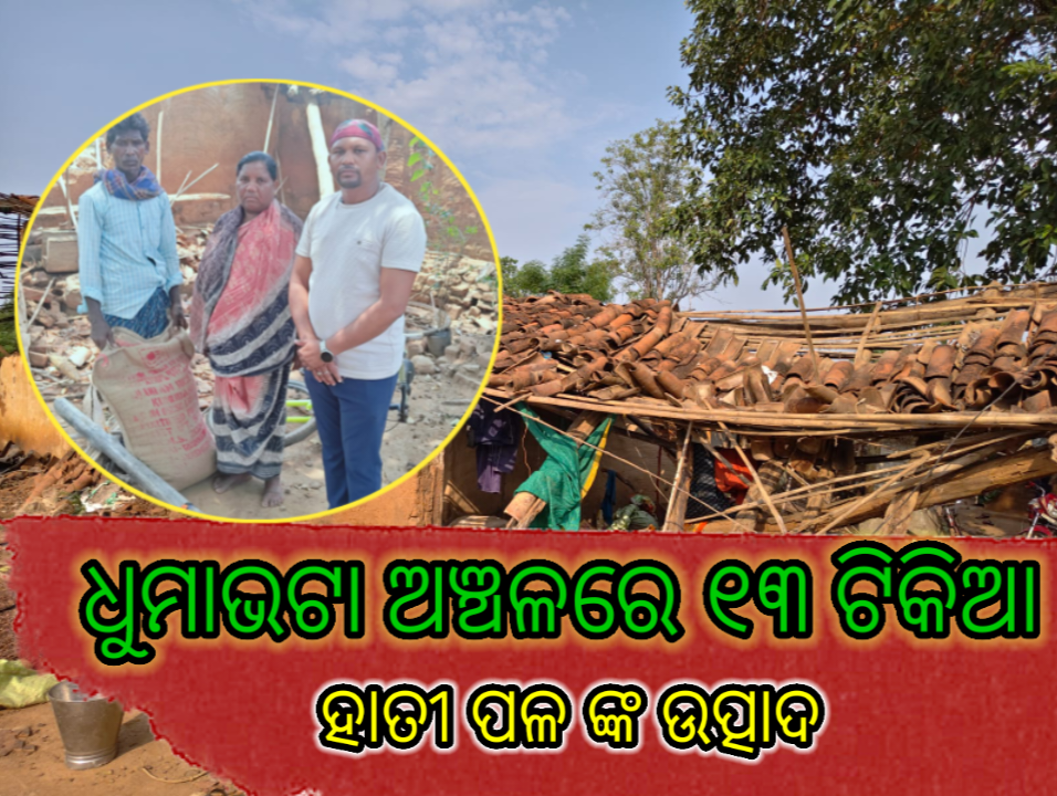 ଧୁମାଭଟା ଅଞ୍ଚଳରେ ୨୩ ଟିକିଆ ହାତୀ ପଳଙ୍କ ଉତ୍ପାଦ